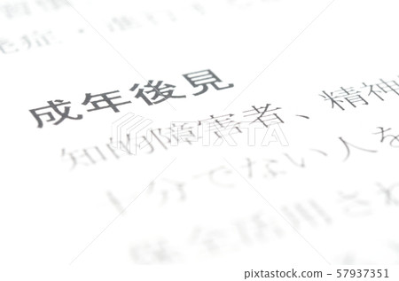 Adult guardian 57937351