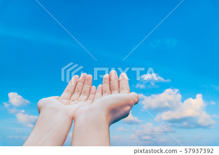 Woman hands place together like praying in front Woman hands place together like praying in front 57937392