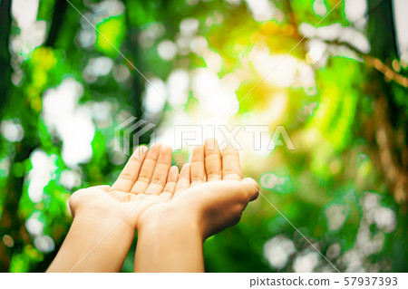 Woman hands place together like praying in front Woman hands place together like praying in front 57937393
