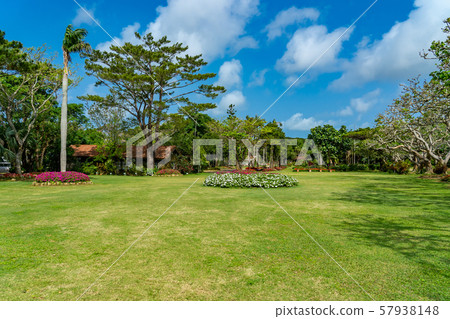 Okinawa Miyakojima Tropical Botanical Garden in Miyakojima 57938148