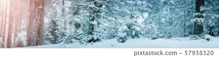 Beautiful tree in winter landscape in late evening Beautiful tree in winter landscape in late evening 57938320