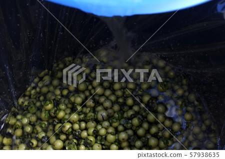 Fresh Diospyros mollis fruits Background , Thai Fresh Diospyros mollis fruits Background , Thai 57938635