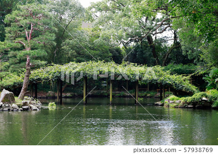 Tenguen Tenguen 57938769