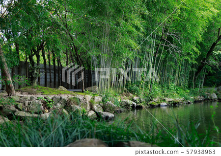 天堂赦園 57938963