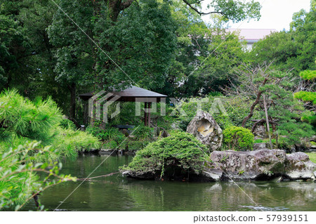 Tenguen Tenguen 57939151