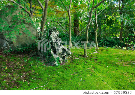 天堂赦園 57939583