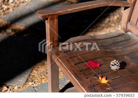 Wooden bench colorful autumn fallen leaves close-up beautiful season concept 57939683