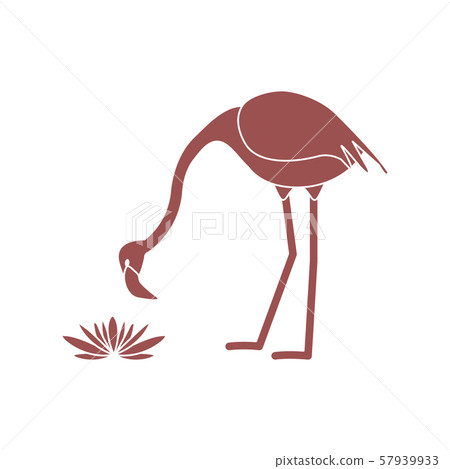 Exotic tropical bird flamingo, water lilies flower 57939933