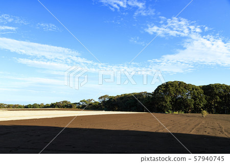 Field (autumn) 57940745