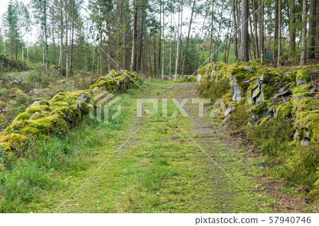 Moss covered stonewalls by a country road 57940746