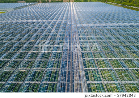 greenhouse complex photo from the height of the fragment greenhouse complex photo from the height of the fragment 57942848