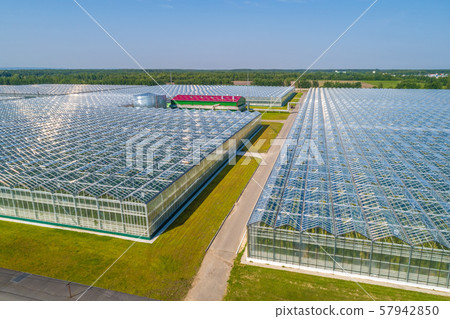 greenhouse complex panorama from the height greenhouse complex panorama from the height 57942850