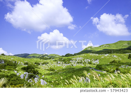 Beautiful scenery of Hiraodai Beautiful scenery of Hiraodai 57943423