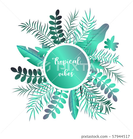 Summer tropic background with palm leaves Summer tropic background with palm leaves 57944517