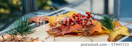 Colorful autumn leaves. Autumn backgorund. Vintage autumn tones with colorful autumn leaves. 57945723