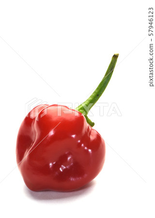 Pepper Habanero Pepper Habanero 57946123