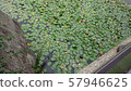 Lotus 2 57946625