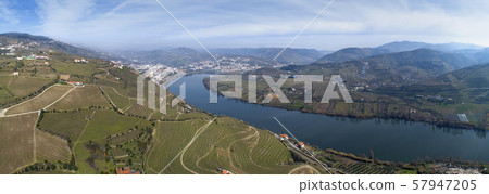 Panorama of vineyards in Douro Valley Panorama of vineyards in Douro Valley 57947205