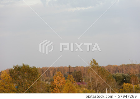 Autumn theme. Autumn trees with yellow leaves. Autumn theme. Autumn trees with yellow leaves. 57947269