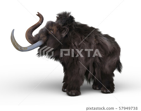 長毛象 57949738