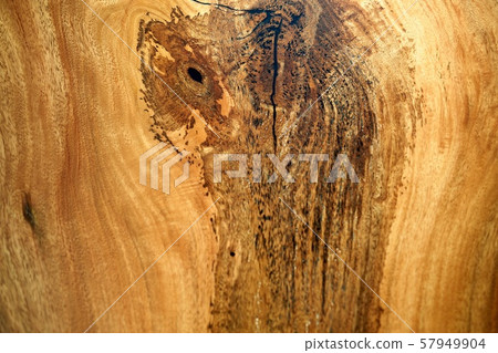 Background, wallpapers, background, material, trees, pattern Background, wallpapers, background, material, trees, pattern 57949904