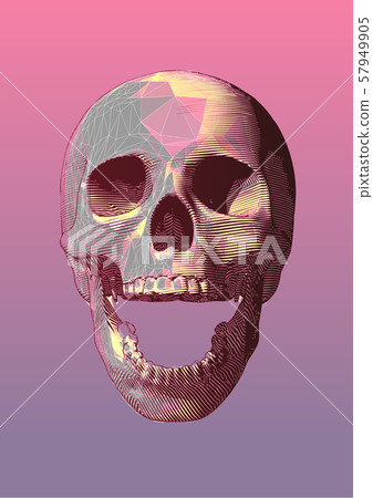 Engraving colorful low poly skull vector 57949905