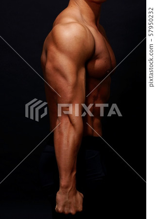 Upper arm triceps Upper arm triceps 57950232