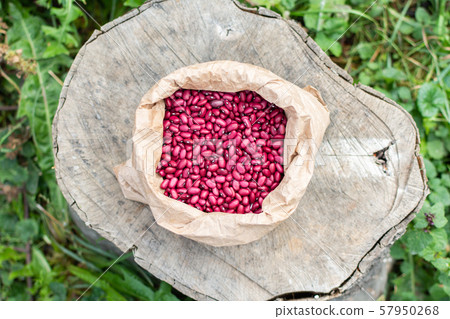 Fresh harvest of pink beans in a bag Fresh harvest of pink beans in a bag 57950268