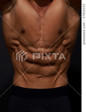 腹直肌 57950335