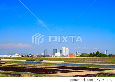 新鮮的綠色名古屋市 57950429