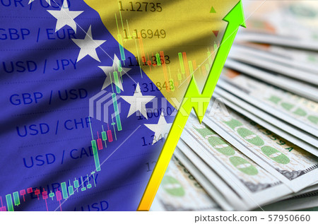 Bosnia and Herzegovina flag and chart growing US 57950660