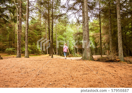 Frightened little girl lost in the dense forest wilderness 57950887