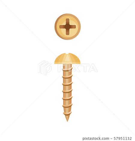Copper screw with a cross on the hat. Vector illustration on a white background. Copper screw with a cross on the hat. Vector illustration on a white background. 57951132