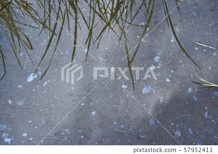 Water pollution 57952411