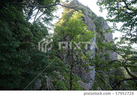 [World Heritage Sacred Sites and Pilgrimage Routes in the Kii Mountain Range] Omine Okukumado, the 47th ridge seen from among the trees, Yoshino Tenkawa Village, Nara Prefecture 57952728