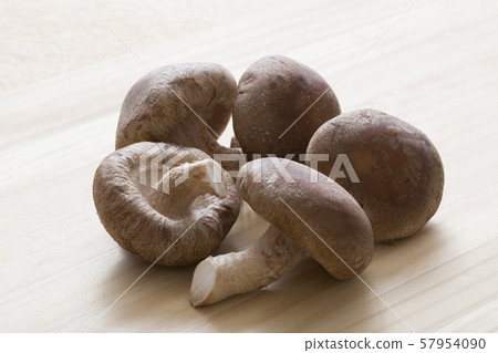 Shiitake Shiitake 57954090
