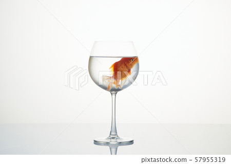 little goldfish moving in wineglass of water little goldfish moving in wineglass of water 57955319