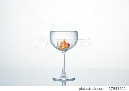 little goldfish moving in wineglass of water 57955321