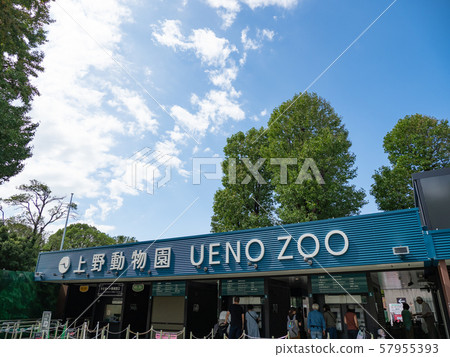上野動物園的正門 上野動物園的正門 57955393