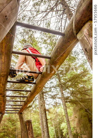 Happy boy having fun climbing on ladder in the forest Happy boy having fun climbing on ladder in the forest 57955666