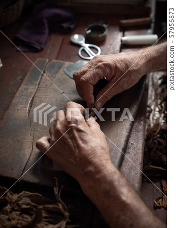 Cigar rolling or making by torcedor in cuba Cigar rolling or making by torcedor in cuba 57956873
