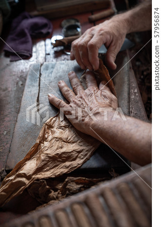 Cigar rolling or making by torcedor in cuba 57956874