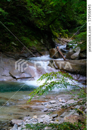 Nishizawa Valley 57956945