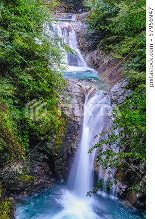 Nishizawa Valley 57956947