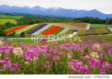 9月60日:Biomecho Creome和Shikisai no Oka 9月60日:Biomecho Creome和Shikisai no Oka 57959109