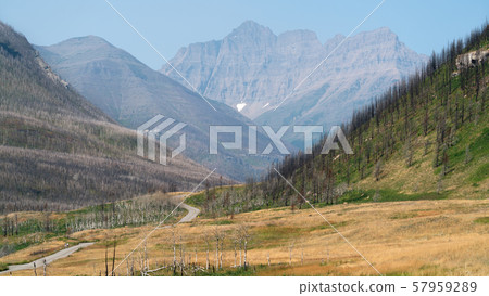 Waterton Lakes National Park, Alberta, Canada 57959289