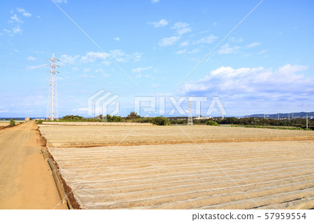 Field (autumn) 57959554