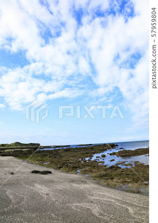 和田長濱（秋天） 57959804