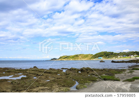 和田長濱(秋天) 和田長濱(秋天) 57959805