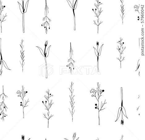 Vector seamless botanical pattern with hand drawn herbs isolated on white background. Endless 57960042